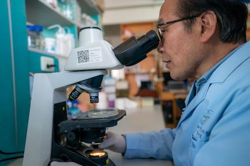 生物農藥技術研發(fā) 綠色農業(yè)的新引擎