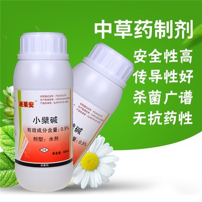 生物農(nóng)藥潰腐靈 草莓枯黃萎病的綠色克星與技術(shù)研發(fā)前沿